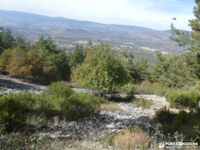 Cordal de altura en la Sierra Norte de Madrid; rutas grazalema viajes organizados para solteros tren